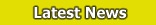 Online Bingo